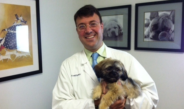 pet-wellness-exams