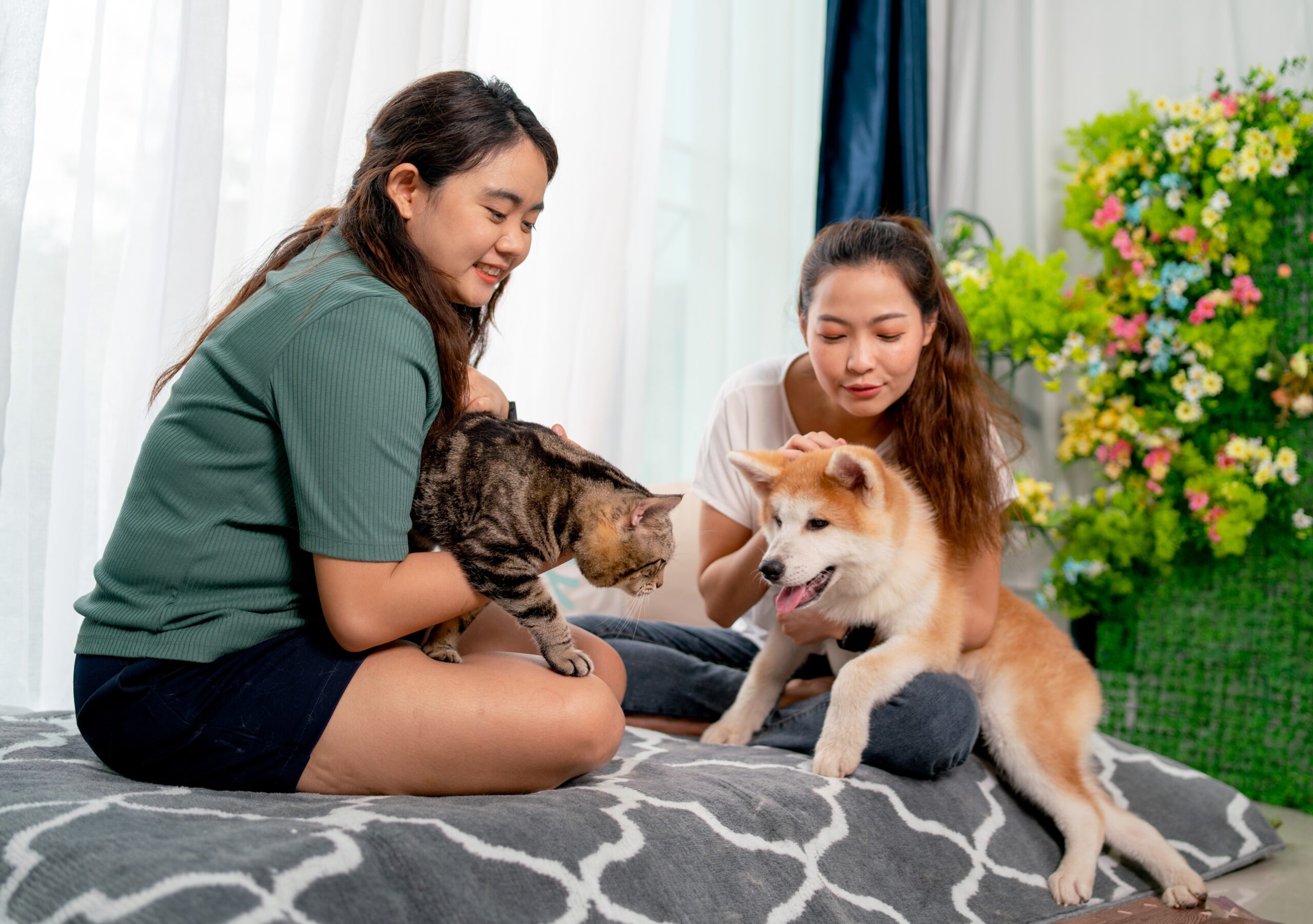 The Unbreakable Bond Between Pets and Their Owners
